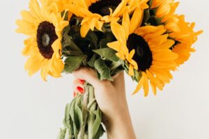 Sunflower Delight