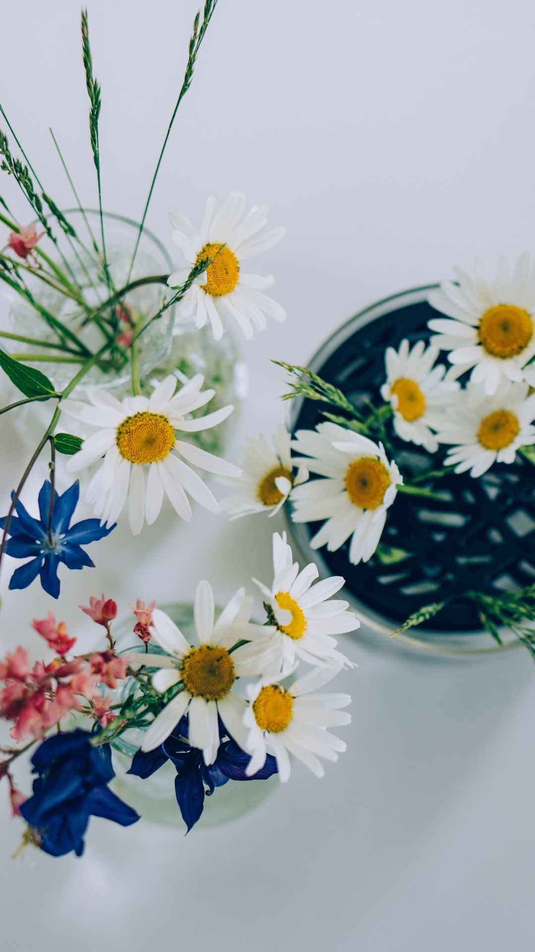 Daisy Fresh Bouquet