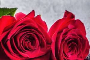 Romantic Rose Box