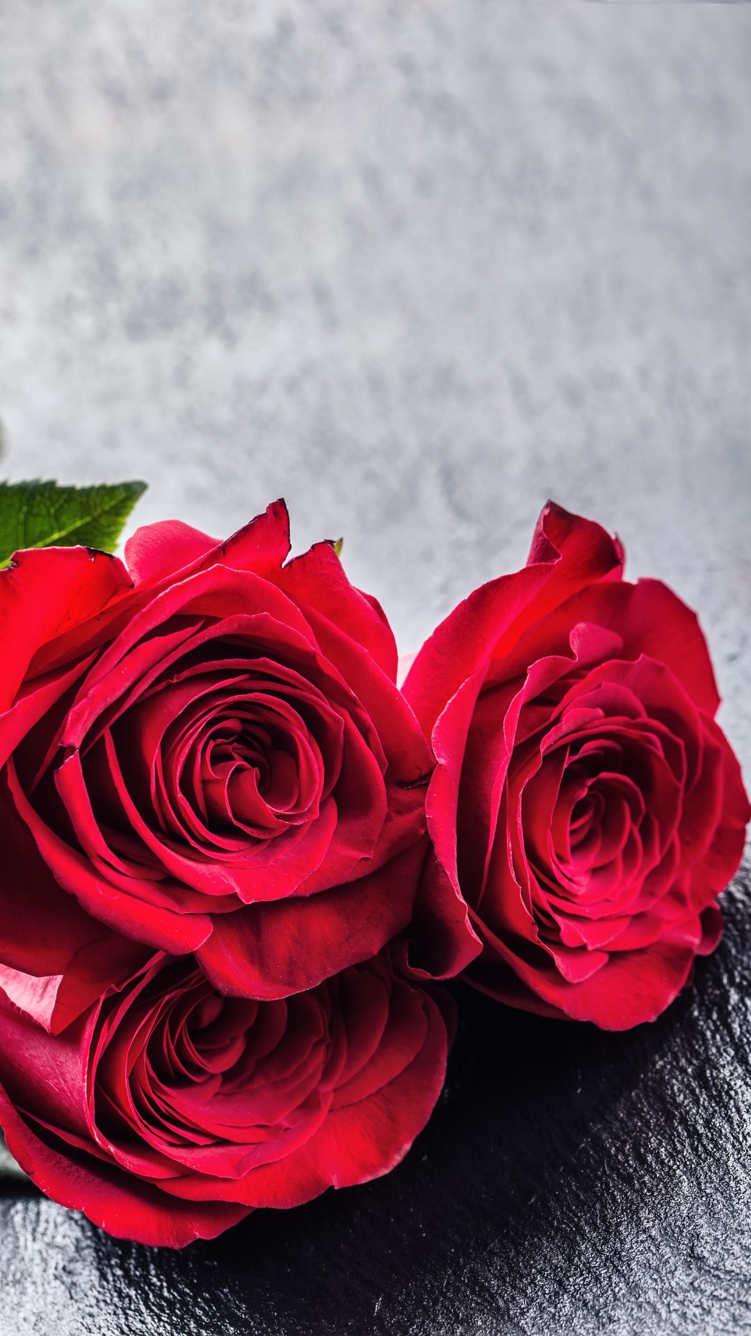 Romantic Rose Box