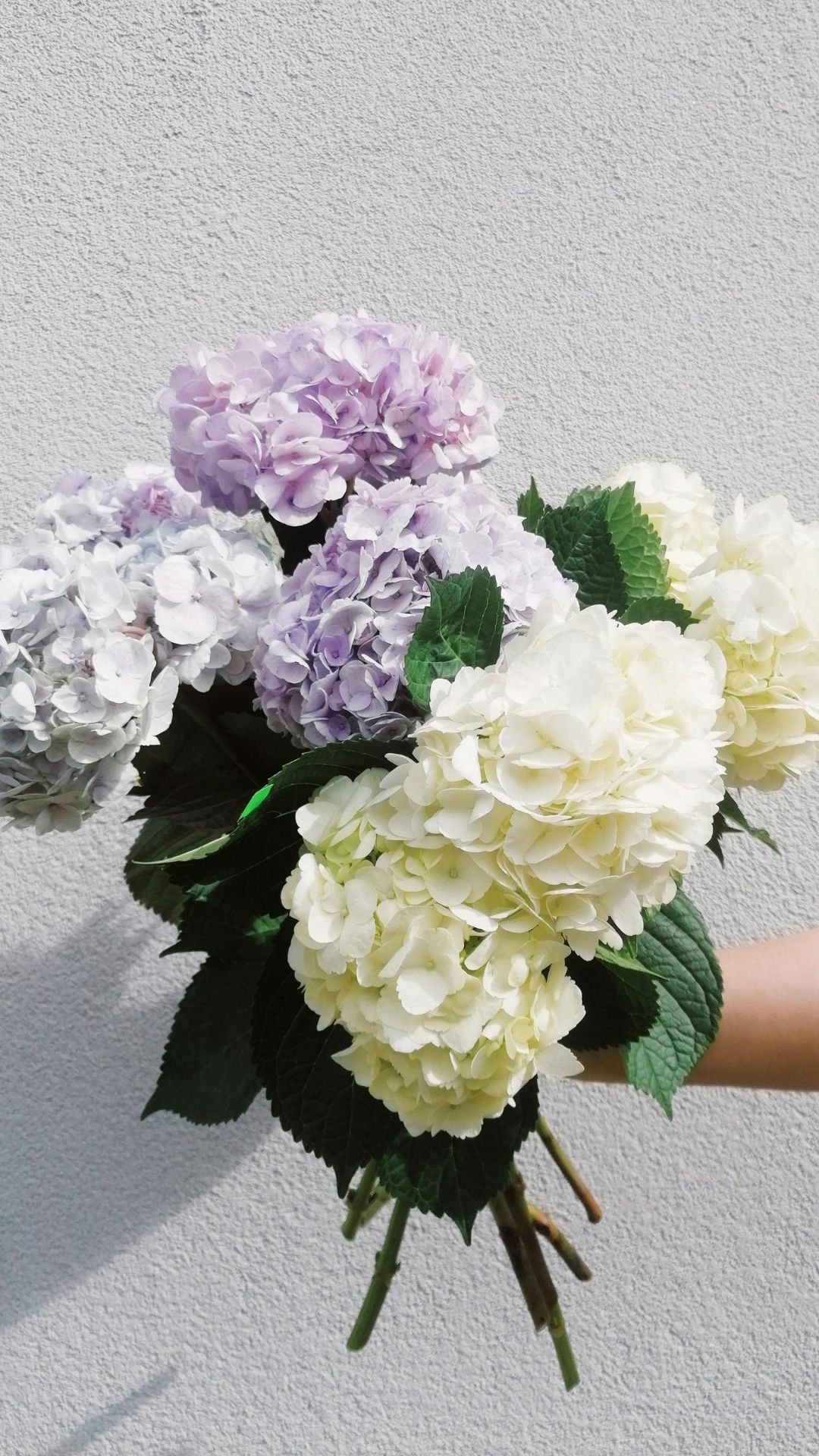 Elegant Hydrangea Bouquet