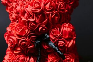 Romantic Rose Teddy